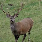 Du Cote De Lacoume 3*