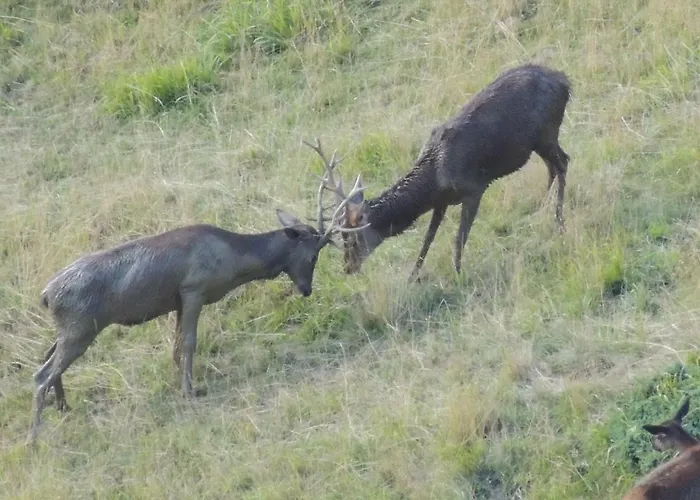 Du Cote De Lacoume 3*