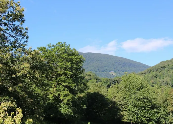 Bed & Breakfast Du Cote De Lacoume