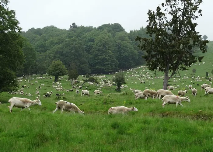 Oda ve Kahvaltı Du Cote De Lacoume 3*
