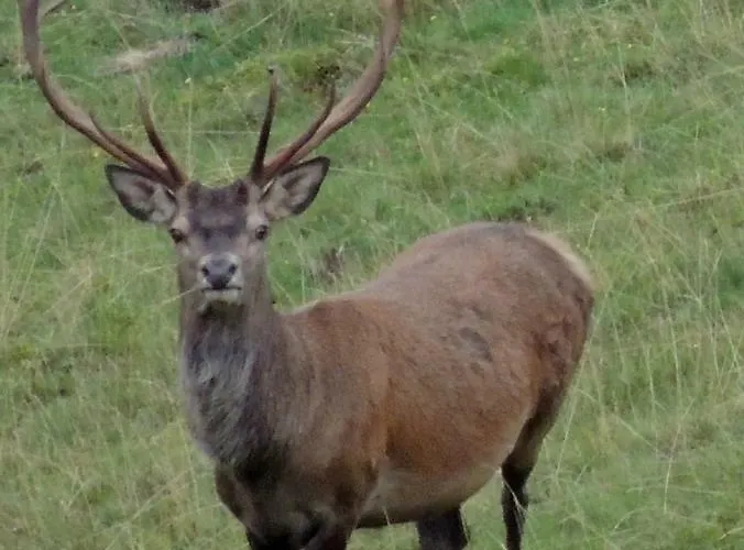 Du Cote De Lacoume 3*