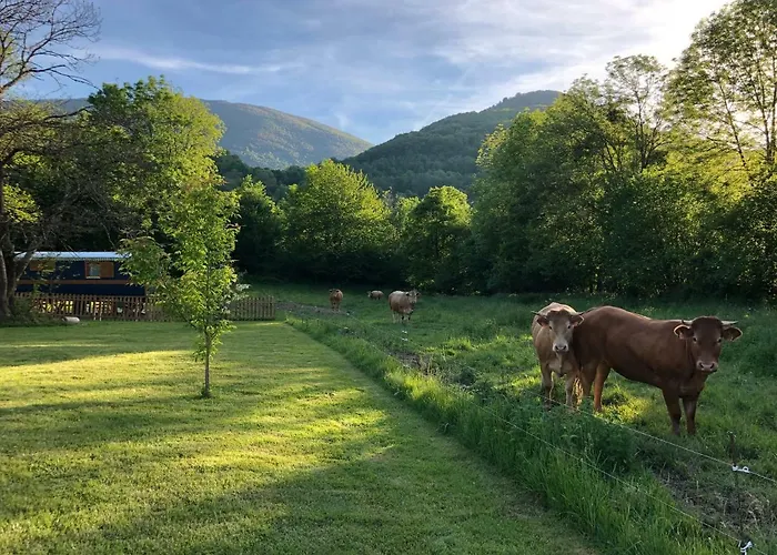 Oda ve Kahvaltı Du Cote De Lacoume 3*