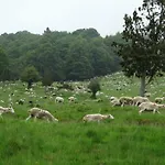 B&B Du Cote De Lacoume 3*