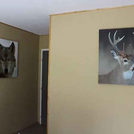 Du Cote De Lacoume Panzió Anla