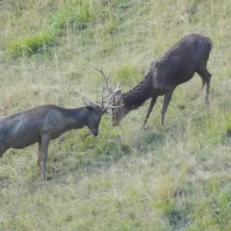 Du Cote De Lacoume 3*