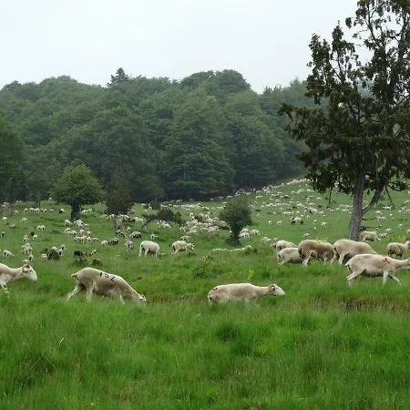 Frühstückspension Du Cote De Lacoume 3*