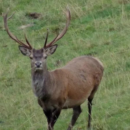 Du Cote De Lacoume 3*